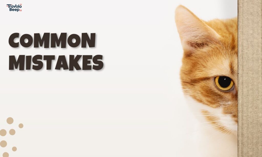 common-mistakes