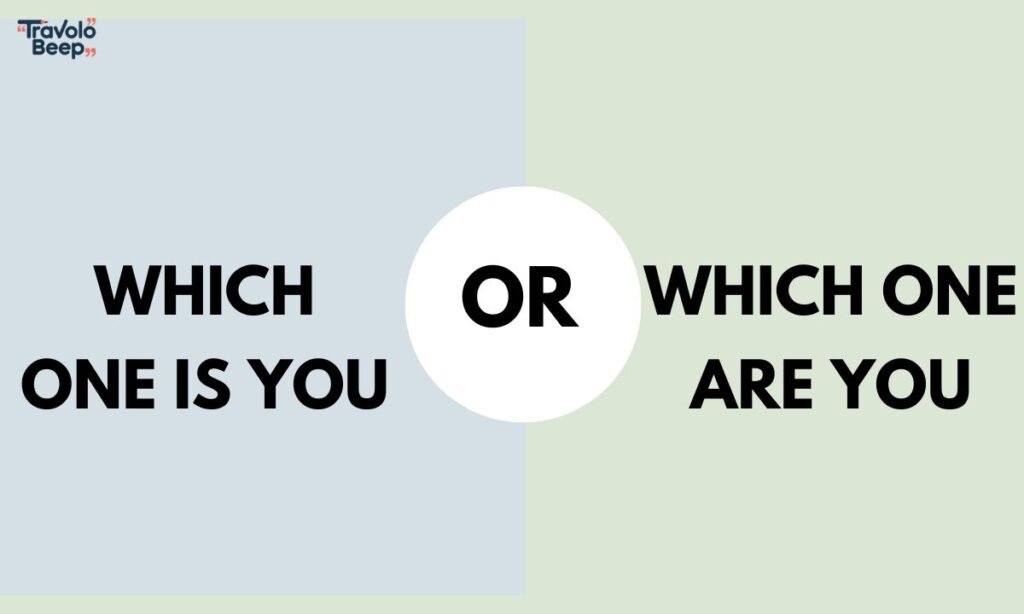 which-one-is-you-or-which-one-are-you