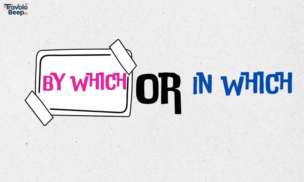 by-which-or-in-which