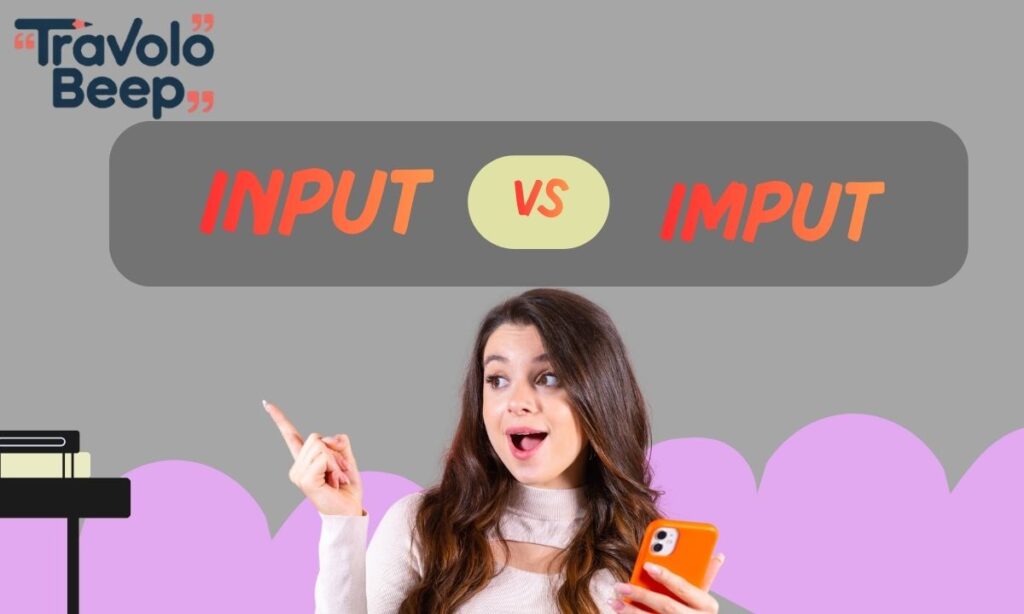 input-vs-imput (1)