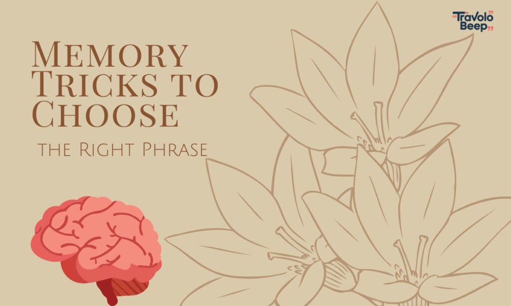 memory-tricks-to-choose-the-right-phrase