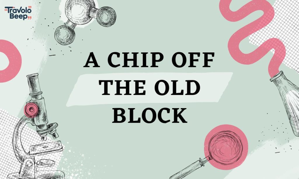 a-chip-off-the-old-block