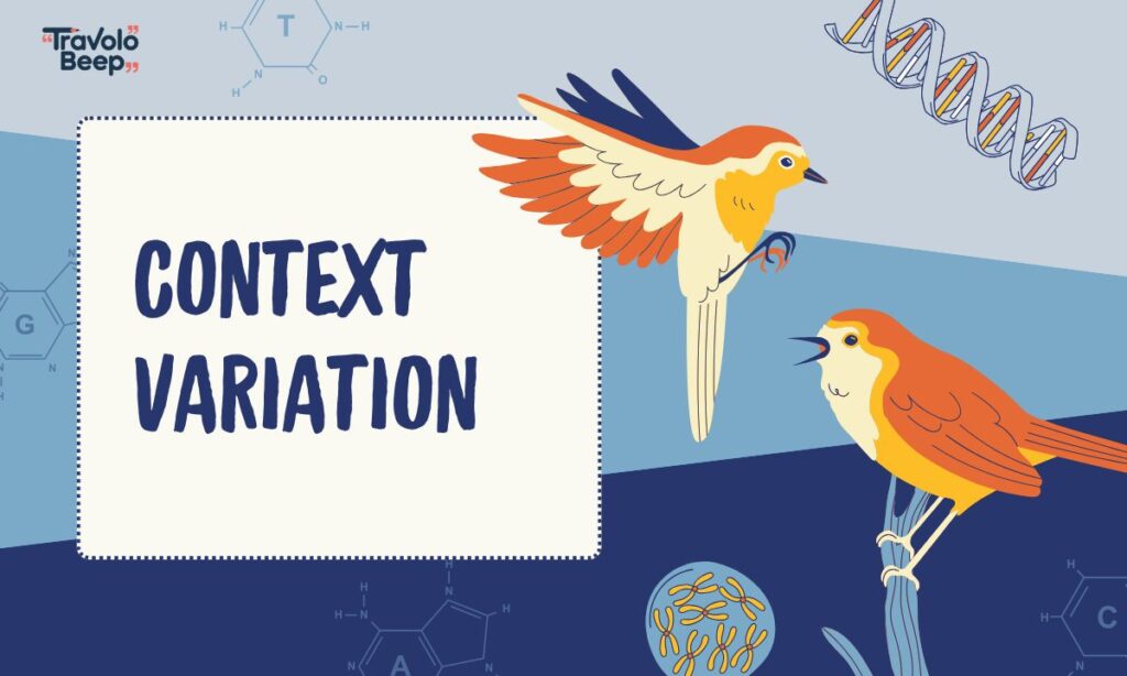 context-variation
