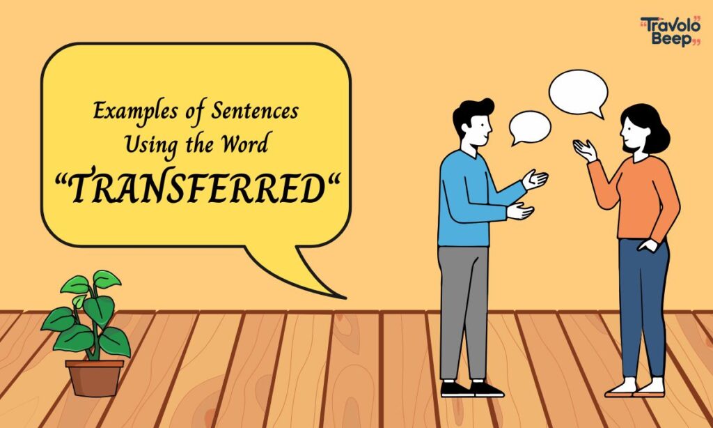 examples-of-sentences-using-the-word-transferred