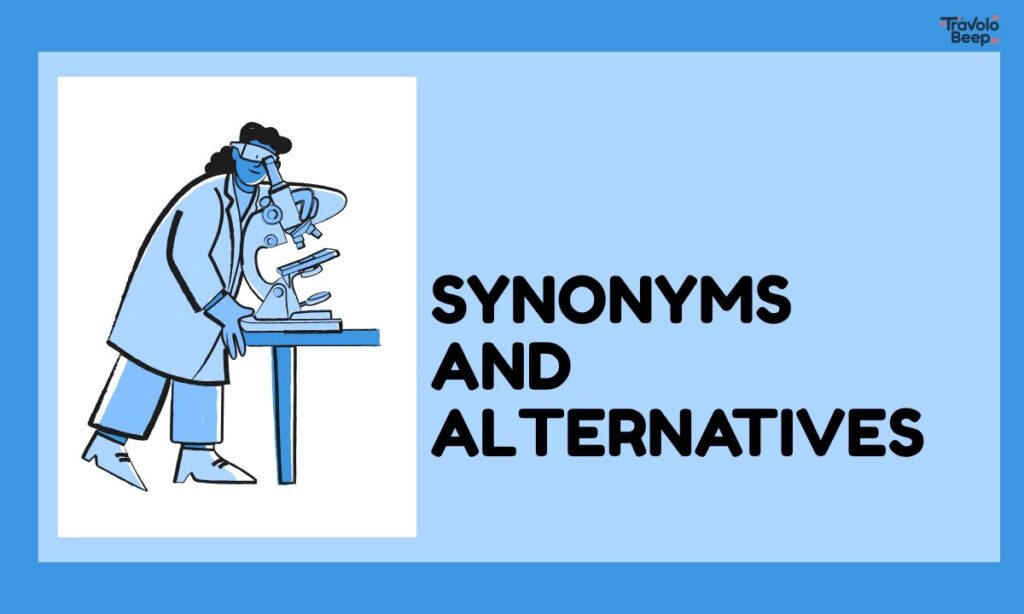synonyms-and-alternatives