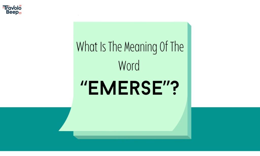 Immerse Vs Emerse