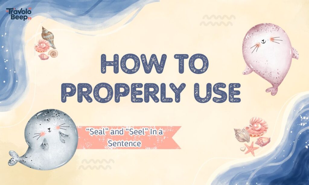 Seal vs Seel