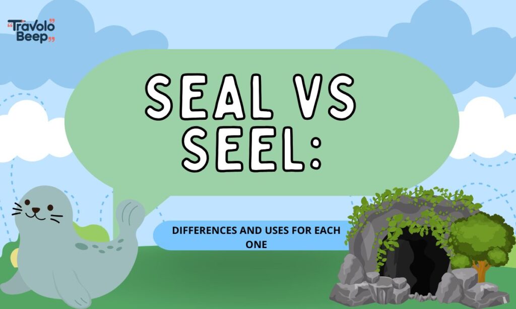 seal-vs-seel-differences-and-uses-for-each-one