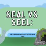 seal-vs-seel-differences-and-uses-for-each-one