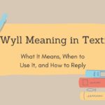 wyll-meaning-in-text